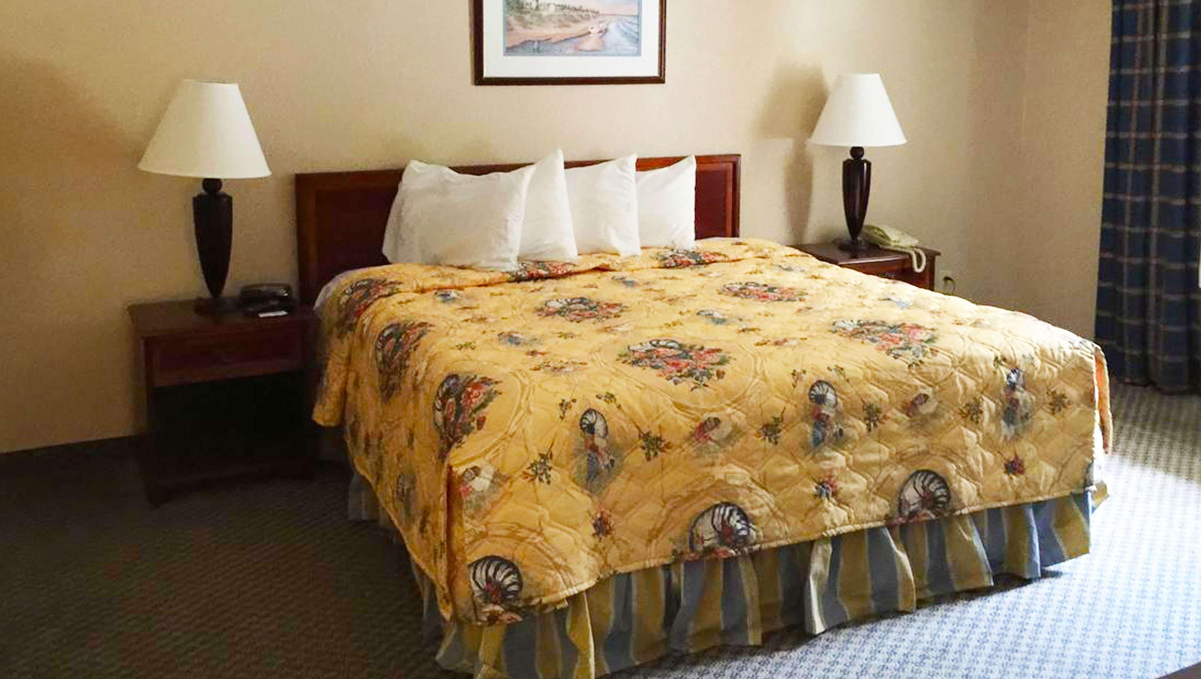 Mayfair Inn Williamston Εξωτερικό φωτογραφία