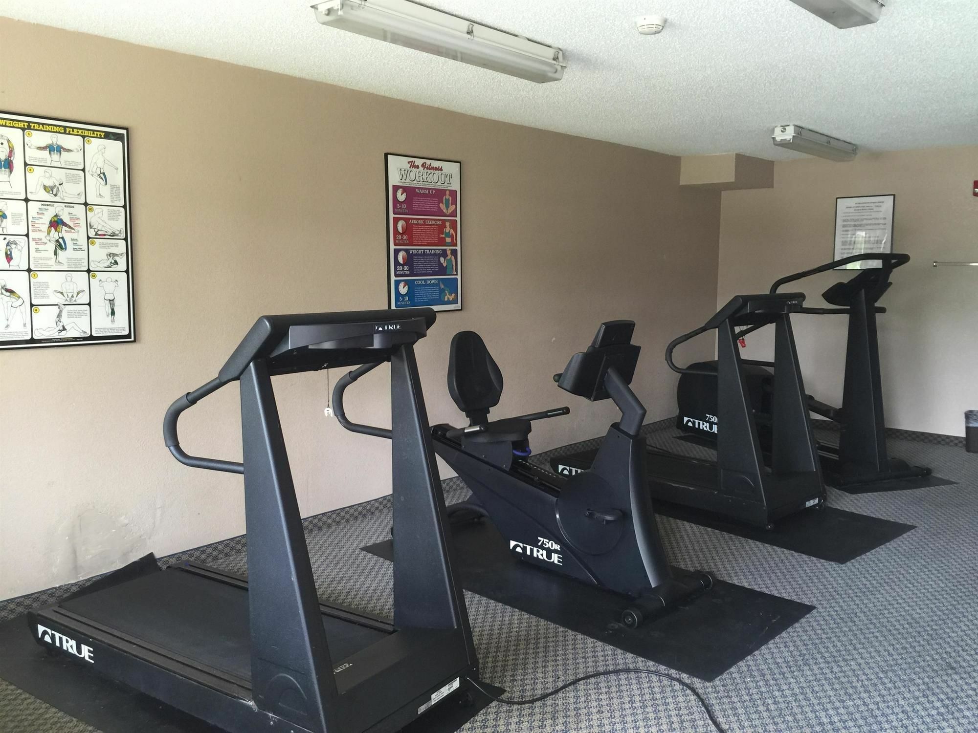 Mayfair Inn Williamston Εξωτερικό φωτογραφία